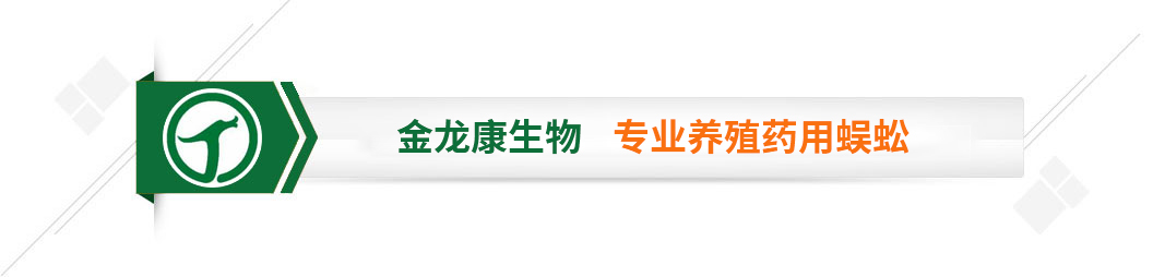 金龍康生物   專業(yè)養(yǎng)殖藥用動(dòng)物蜈蚣